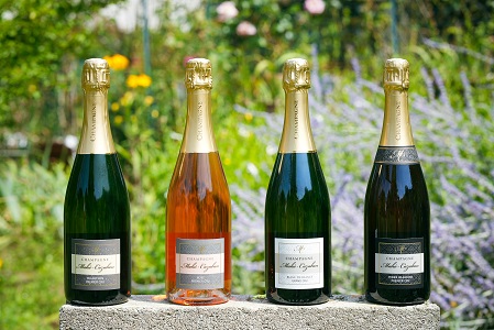 4 cuvées