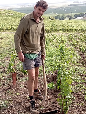 deuxième année de pousse