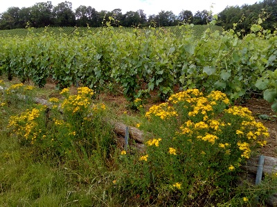 2.5ansaprès