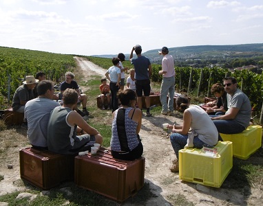 Vendanges 2018/10