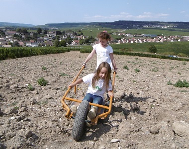 Vendanges 2018/7